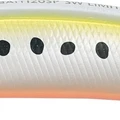 Golden Sardine