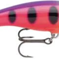 Fruit Punch