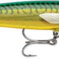 Armored Green Mackerel