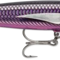 Armored Purple Mackerel