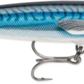 Armored Silver Mackerel