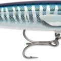 Armored Wahoo