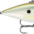 Green Gizzard Shad