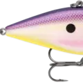 Royal Shad
