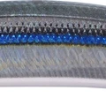Blackear Sardine