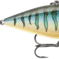 True Gill
