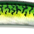 Green Mackerel Lux