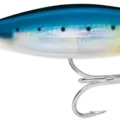 Blue Sardine