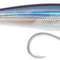 Anchovy