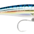 Blue Mackerel