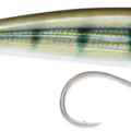 Pinfish