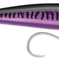 Purple Mackerel