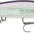 Purpledescent