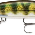 Live Perch