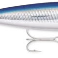 Blue Mullet