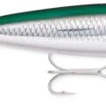 Green Mullet