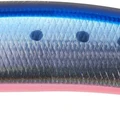 Flash Mazume Sardine