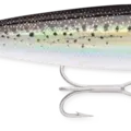 Holographic Silver