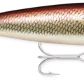 Redfish
