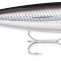 Silver Mullet
