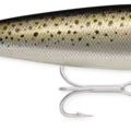 Speckled Trout