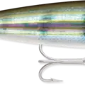 Pinfish