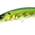 Green Gold Konoshiro