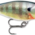 Blue Gill