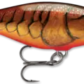 Dark Brown Crawdad