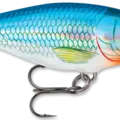 Holographic Blue Shiner