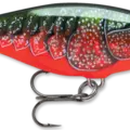 Red Crawdad