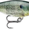 Live Bluegill