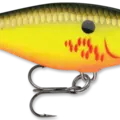 Bleeding Hot Olive