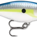 Helsinki Shad