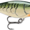 Olive Green Crawdad
