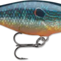 Live Pumpkinseed