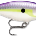 Regal Shad