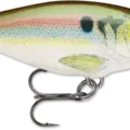 Live River Shad