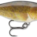 Walleye
