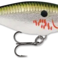 Bleeding Olive Flash