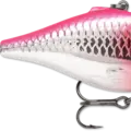 Pink Clown