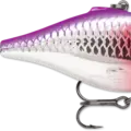Purple Clown