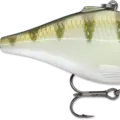 Yellow Perch