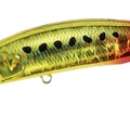 Burning Gold Sardine