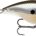 Pearl Grey Shiner