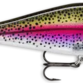 Live Rainbow Trout