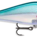 Whitefish