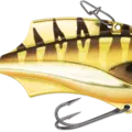 Gold Chrome Tiger