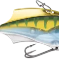 Yellow Perch