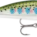 Rainbow Trout